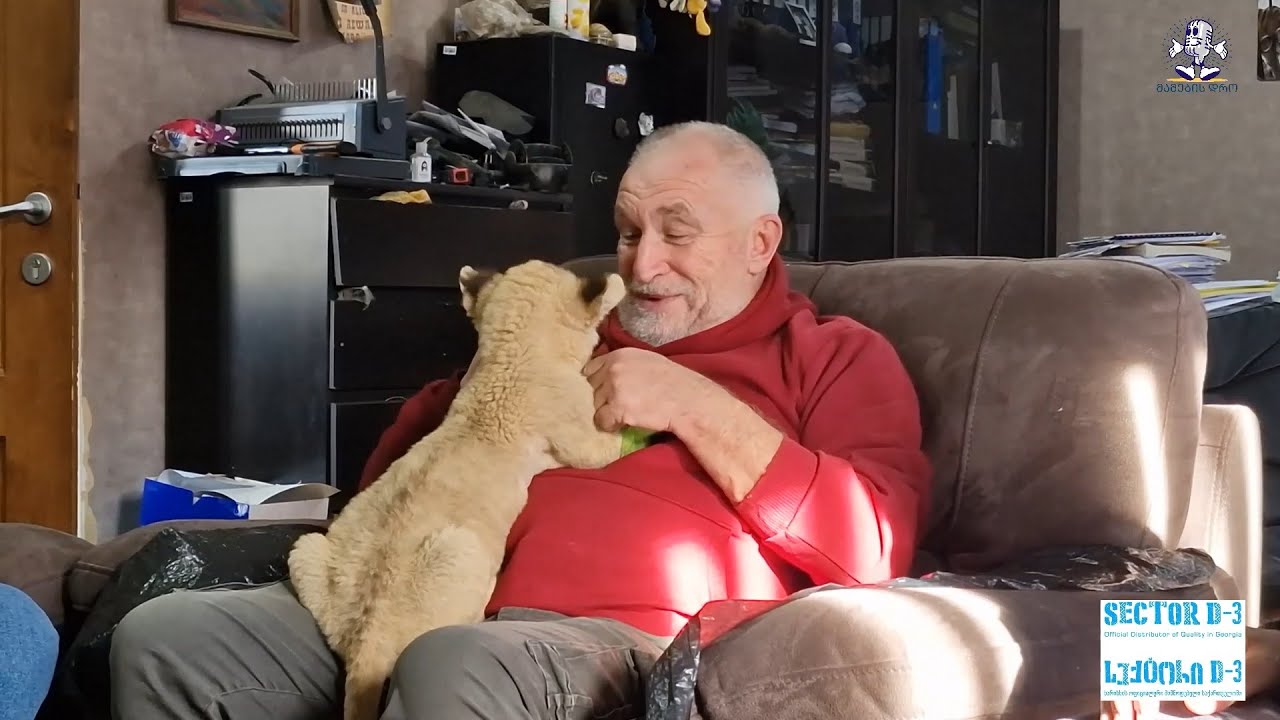 მამების დრო  - ზურაბ გურიელიძე