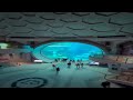 Самый большой океанариум в Абу Даби. Sea World Abu Dhabi. #shortsvideo #shortsyoutube #гидвоаэ