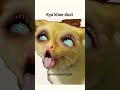 Tarriff ke kaabil hi nahi 😭#cat #memes #ytshorts #tweetreels #funny #friendship