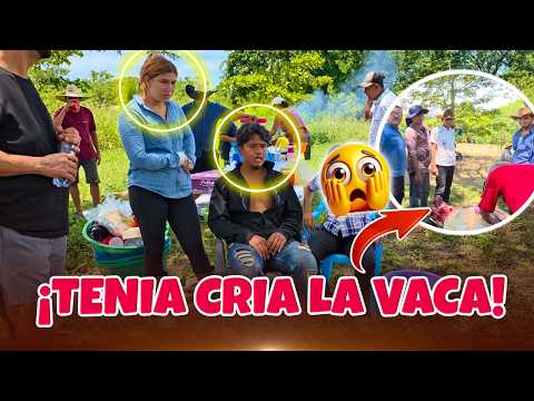 NO PUEDE SER! La sospecha Salió cierta La vaca Tenía cría 😱
