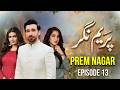 Prem Nagar Mega Episode 13 | Sami Khan, Moammar Rana, Fiza Ali | Full HD Pakistani Drama