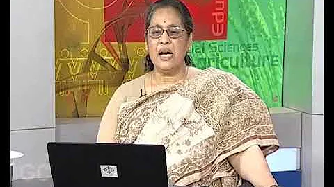 Theory, Commonsense and Feminist Theory