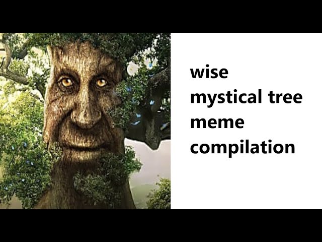 wise mystical tree - meme compilation 