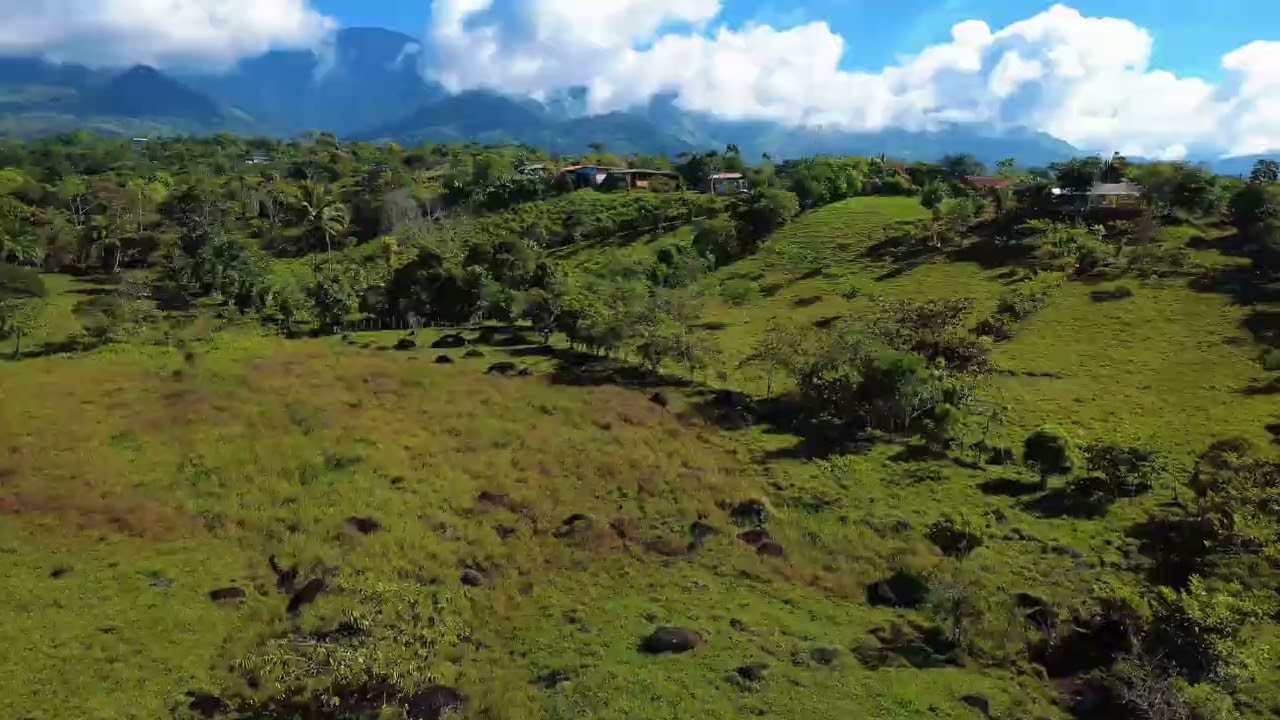 Finca en Venta de 65.639 m² con Vista al Cerro Chirripó – Frente a Calle Pavimentada