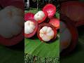 👑 Mangosteen – The Queen of Fruits! 🍈✨ Sweet, Juicy & Delicious #viralshort