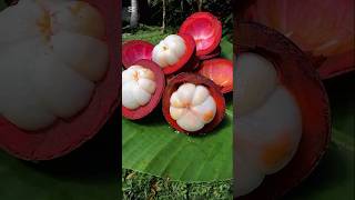 👑 Mangosteen – The Queen of Fruits! 🍈✨ Sweet, Juicy & Delicious #viralshort