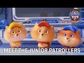PAW PATROL: THE MIGHTY MOVIE   |  JUNIOR PATROLLERS FEATURETTE