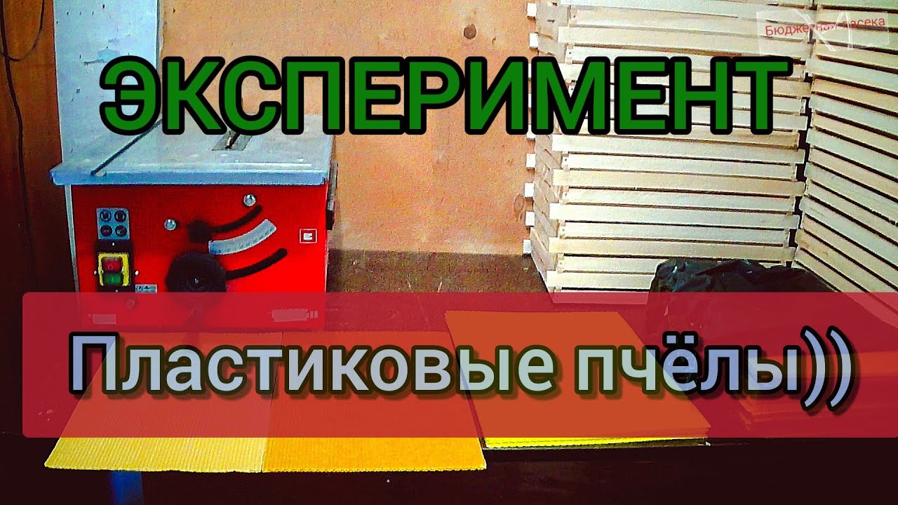 Продолжаю чудить на пасеке! Посмотрим что с этого получиться. - YouTube