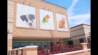 Montgomery County Animal Shelter has Volunteer Opportunities for Youth