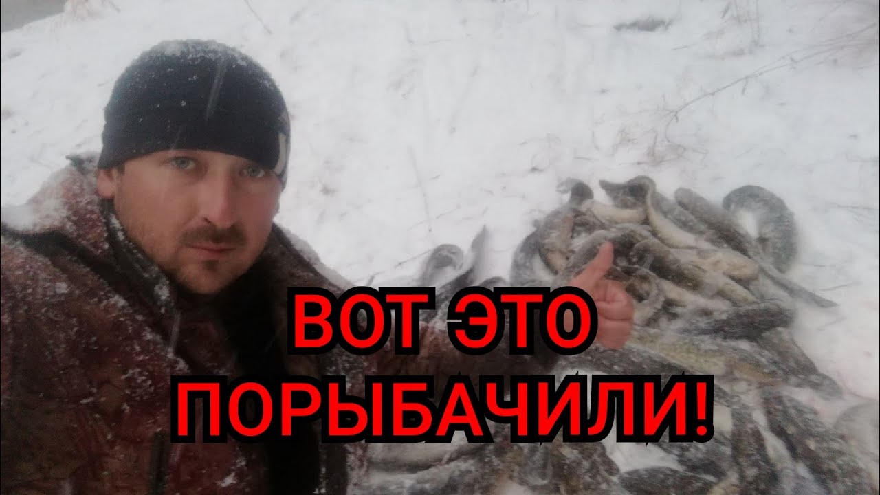 Налим на оке