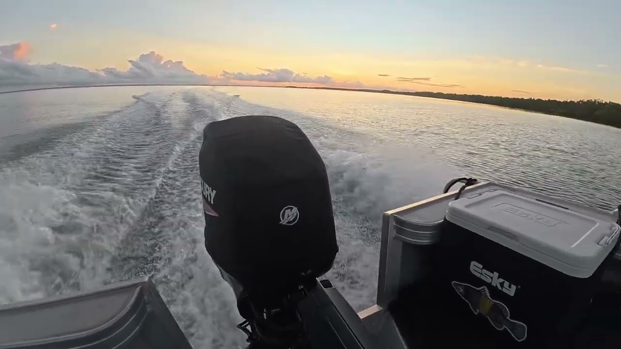 2021 Mercury 50hp 4 stroke outboard