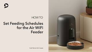 Set Feeding Schedules | PETLIBRO Air Wi-Fi Feeder by PETLIBRO 503 views 5 months ago 1 minute, 1 second