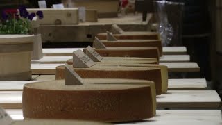 US tariffs grating on sellers of Italian cheese