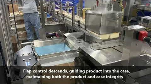 Alphapack | Automatic Case Packaging Tofu With Optional Hand Pack Station