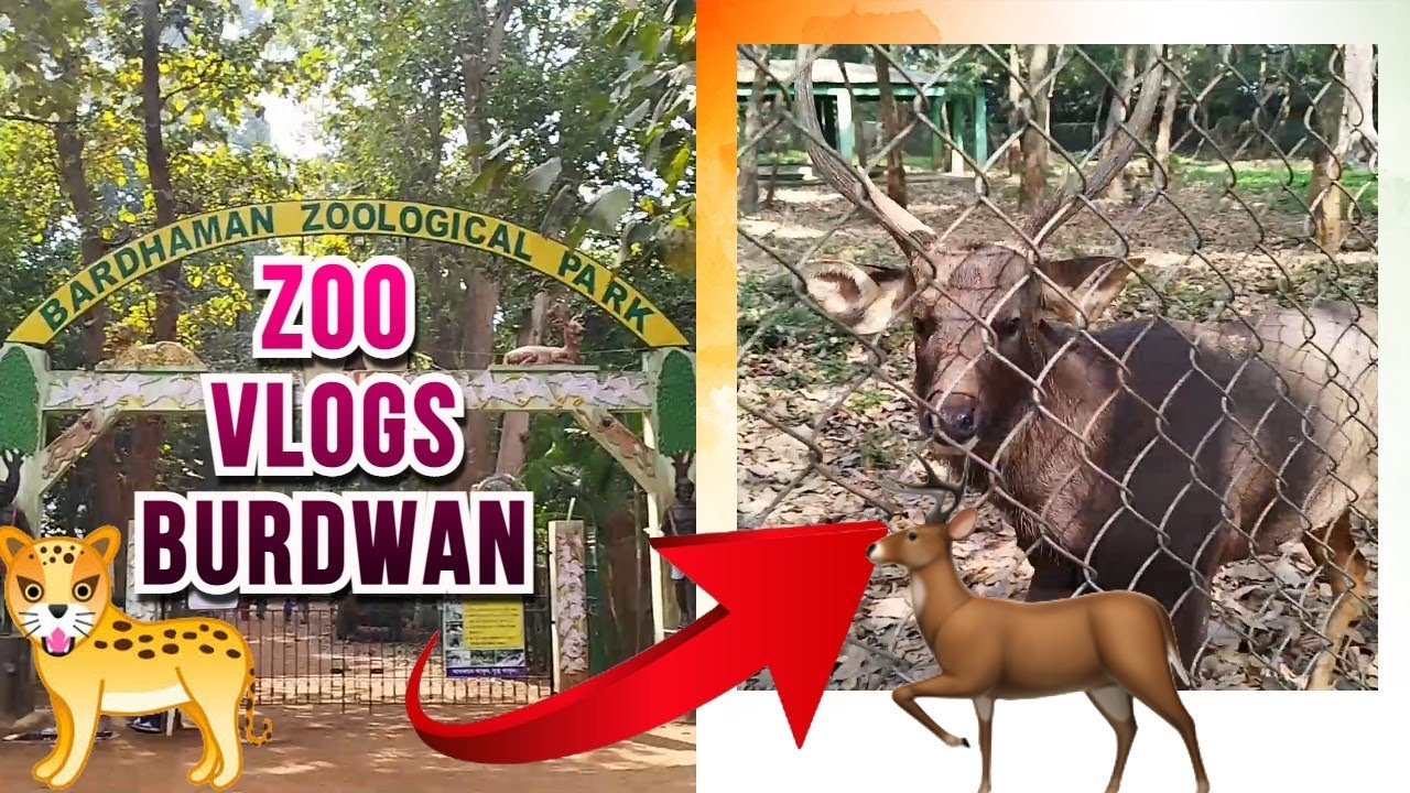 Bardhaman Zoological Park Latest Vlogs | Full Zoo Explore with Family.