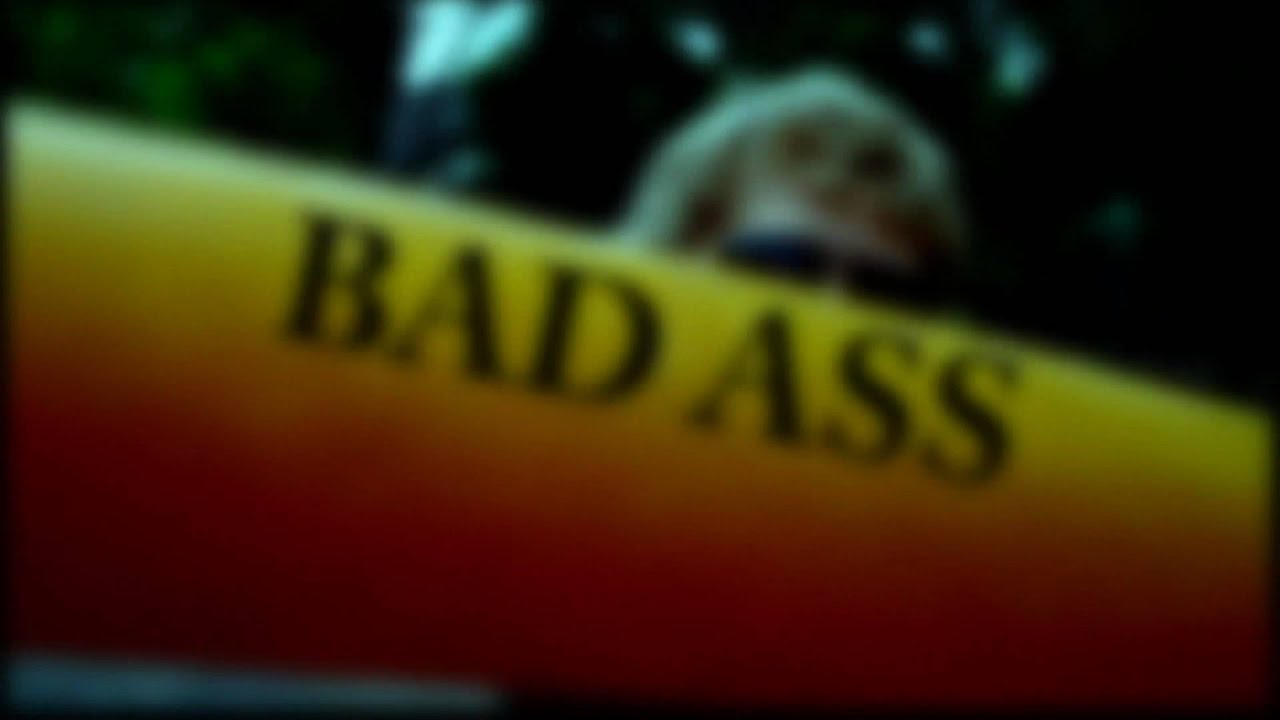 BAD-ASS - YouTube