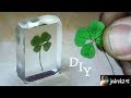 How To Preserve A 4 Leaf Clover In Resin