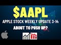 $AAPL APPLE STOCK WEEKLY UPDATE: ABOUT TO PUSH UP? Apple Stock Analysis | Live Wellthy Stocks