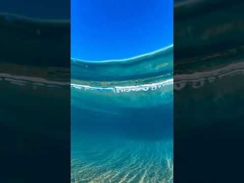 تصوير تحت الماء