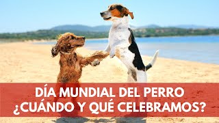 Día Mundial del Perro: ¿Cuándo y por qué se celebra? | Terránea