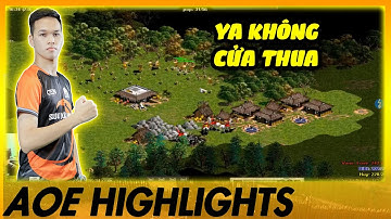 Chim Sẻ đánh cung A nhưng lại bị DÂNG L VÀO TRONG NHÀ!!! | AoE Highlights