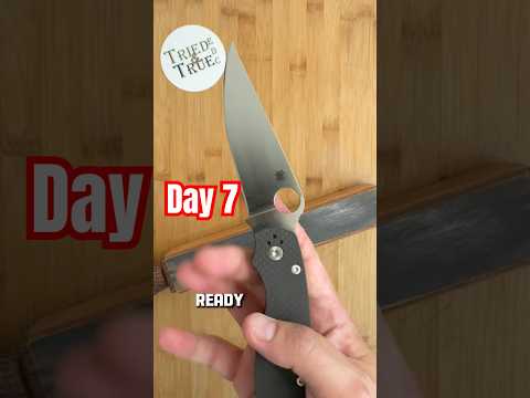 Retesting Day 7️⃣: Spyderco Military 2 S90V   