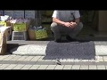 手乗りハクセキレイです こんにちは 高崎の薬店で人気