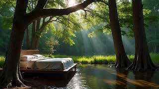 2 Hour: Bed in the Forest with Sunlight and Ambient Music (Ambience Video)