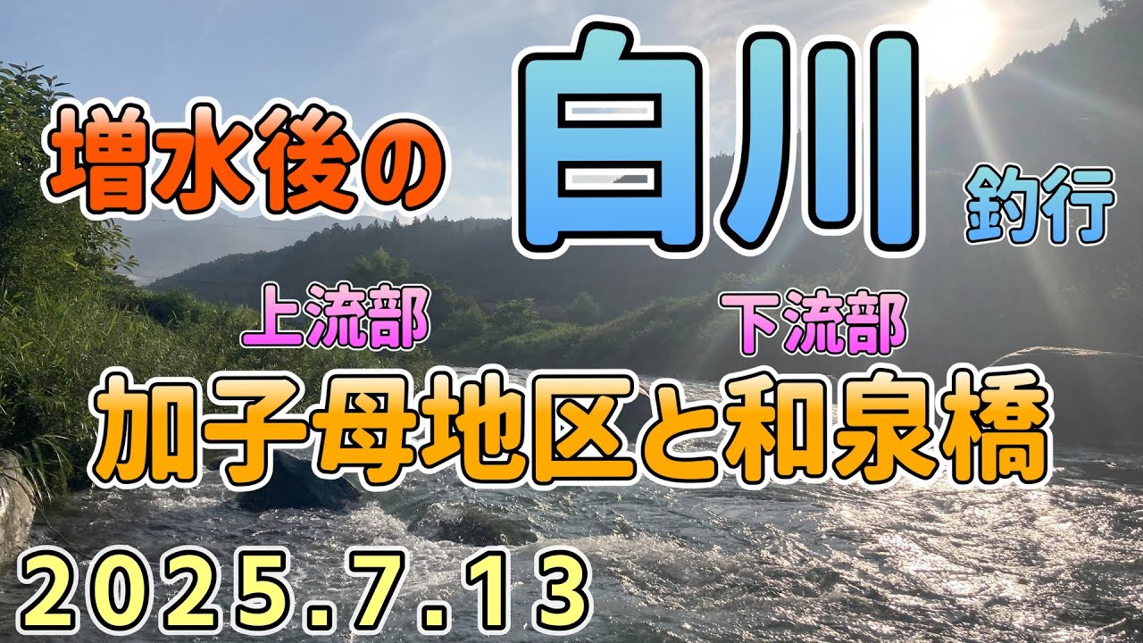 白川上流部　7/13   加子母地区と和泉橋