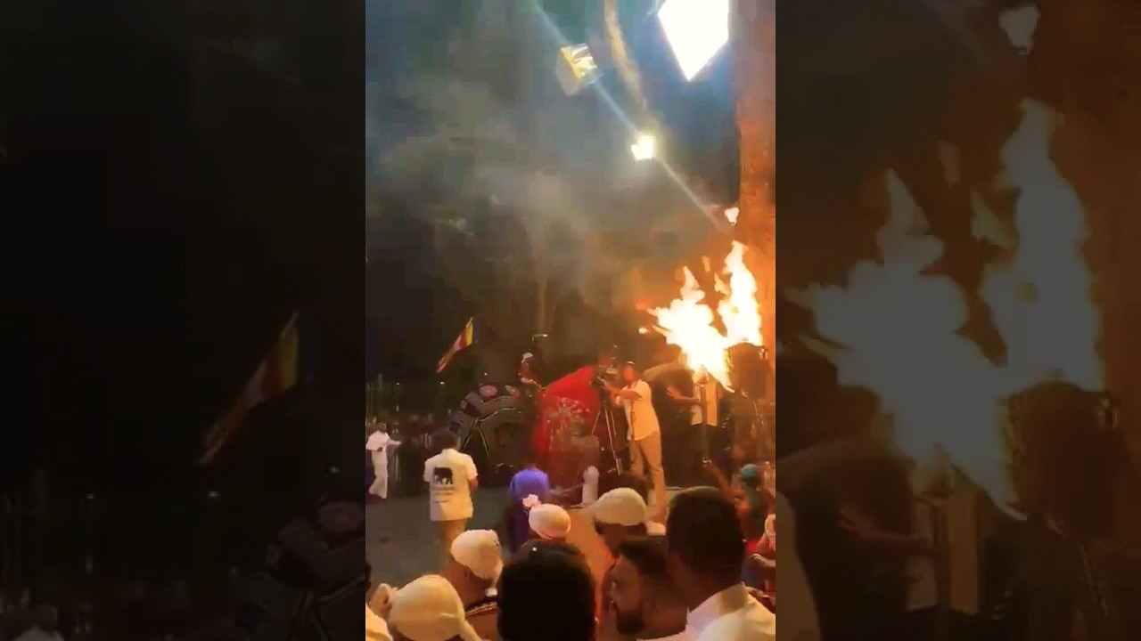 Elephants attack in kandy esala perahera 2023 #esalaperahera #elephant #attack #viral #srilanka