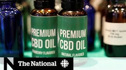 Is CBD a miracle drug or just another fad?