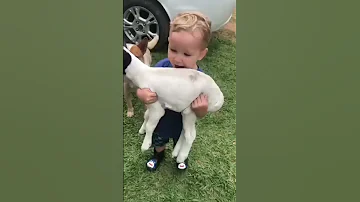 طفل يحمل خروف صغير 