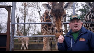 Pure Cork - Come and take the Behind the Scenes Tour at Fota Wildlife Park