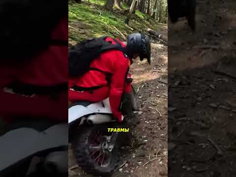 Мотоциклисту в ногу вонзилась ветка на ходу!