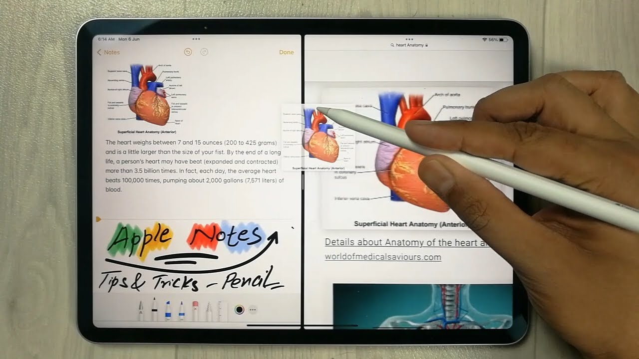 Apple Notes: Everything You Need to Know [2023] - Paperlike