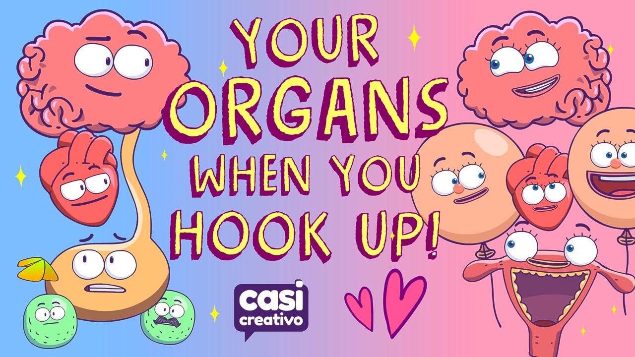 Your Organs When You Hook Up