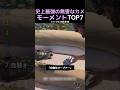 史上最強の無害なカメモーメントTOP7