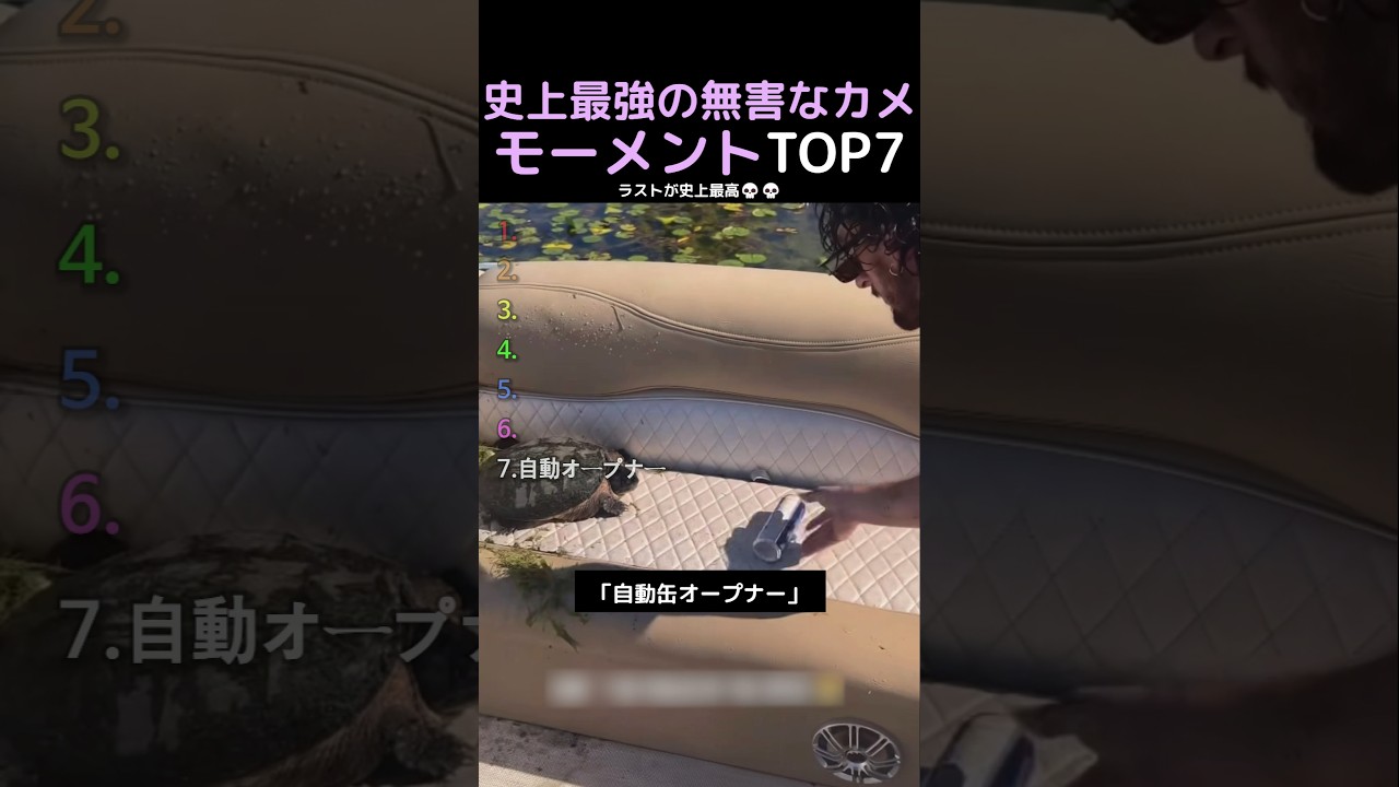 史上最強の無害なカメモーメントTOP7
