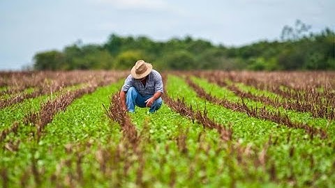 2023 VinFuture Prize