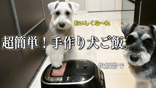 炊飯器で犬の手作りご飯作ったら奇跡が起きた