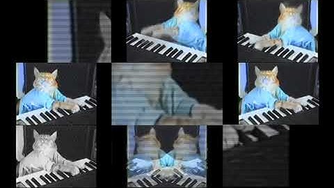 Keyboard Cat Sparta Sunset Remix