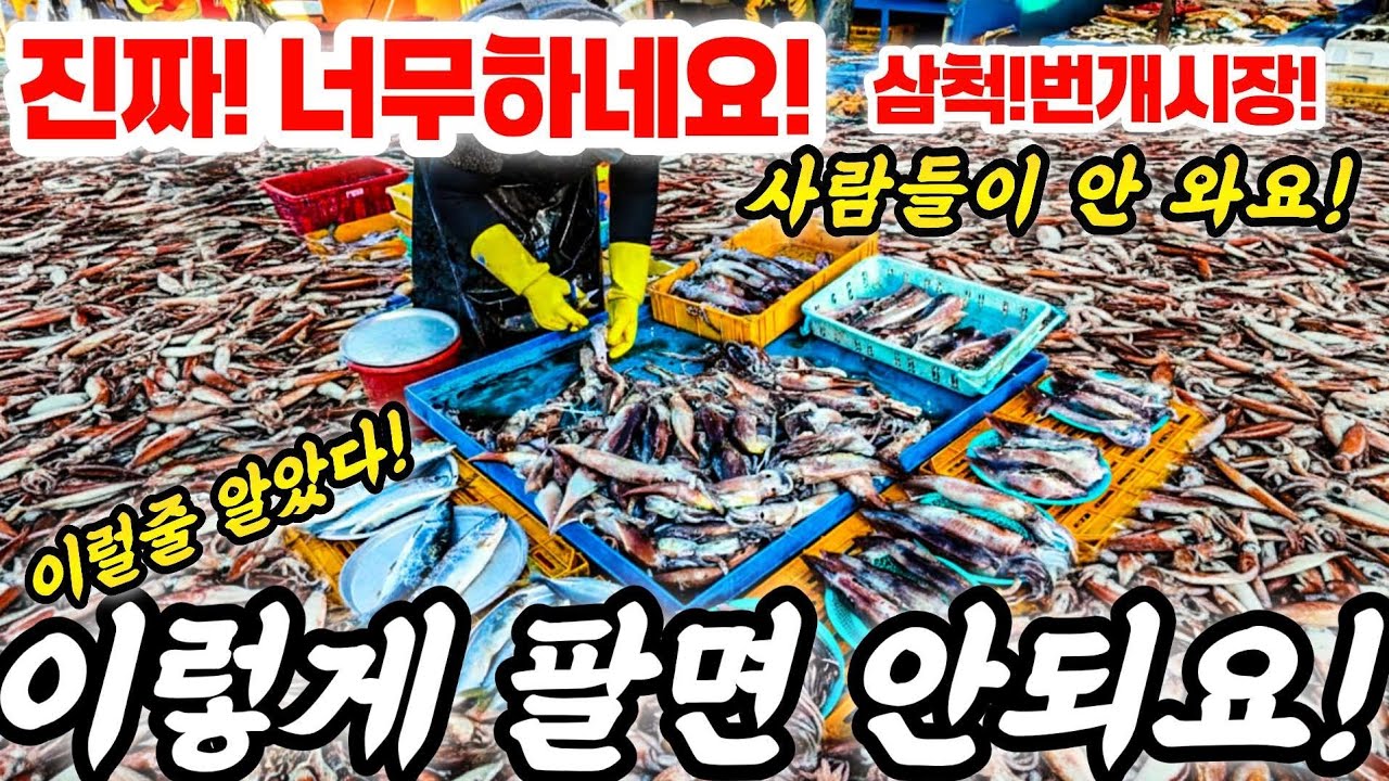 진짜! 너무 하네요! 삼척 번개시장 왜?여긴 사람들이 안와요?어거 언제 다 파냐? #오징어 #강원도 #동해 #속초 #주문진 #부산 #음식 #횟집 #쇼핑 #폭락 #먹거리  #food