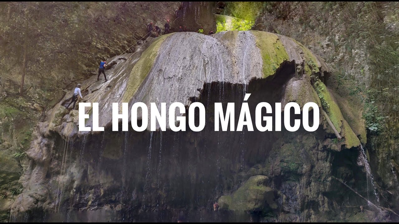 El Hongo Mágico de RD: el lugar que visitó BILL GATES en Jamao Al Norte - WilliamRamosTV