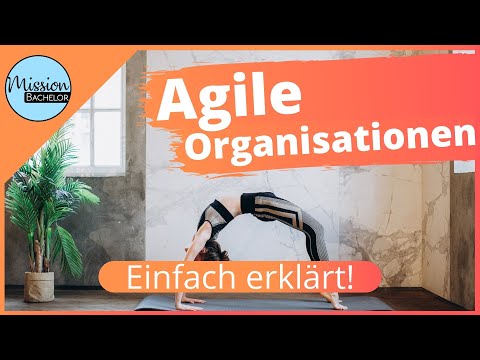 Video: Wie sieht eine agile Organisation aus?