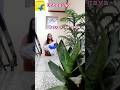 flipkart unboxing Haul ✨️ #homedecore #flipkart #youtubeshorts #shorts. #meesho #jewellery
