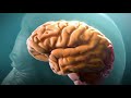 Comprender la enfermedad de Alzheimer (Understanding Alzheimer's Disease)