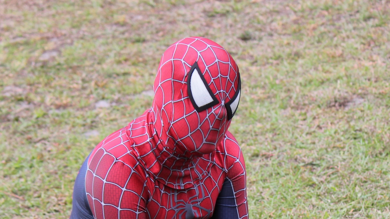 The Spideronicturtle Live Stream