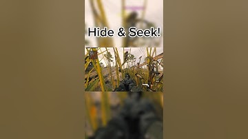 Hide & Seek #CallofDuty #Viral #Real #Trending #MW3