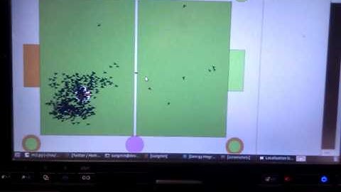 Particle Filter in Action