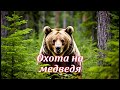 Охота на медведя Музыкальный клип 